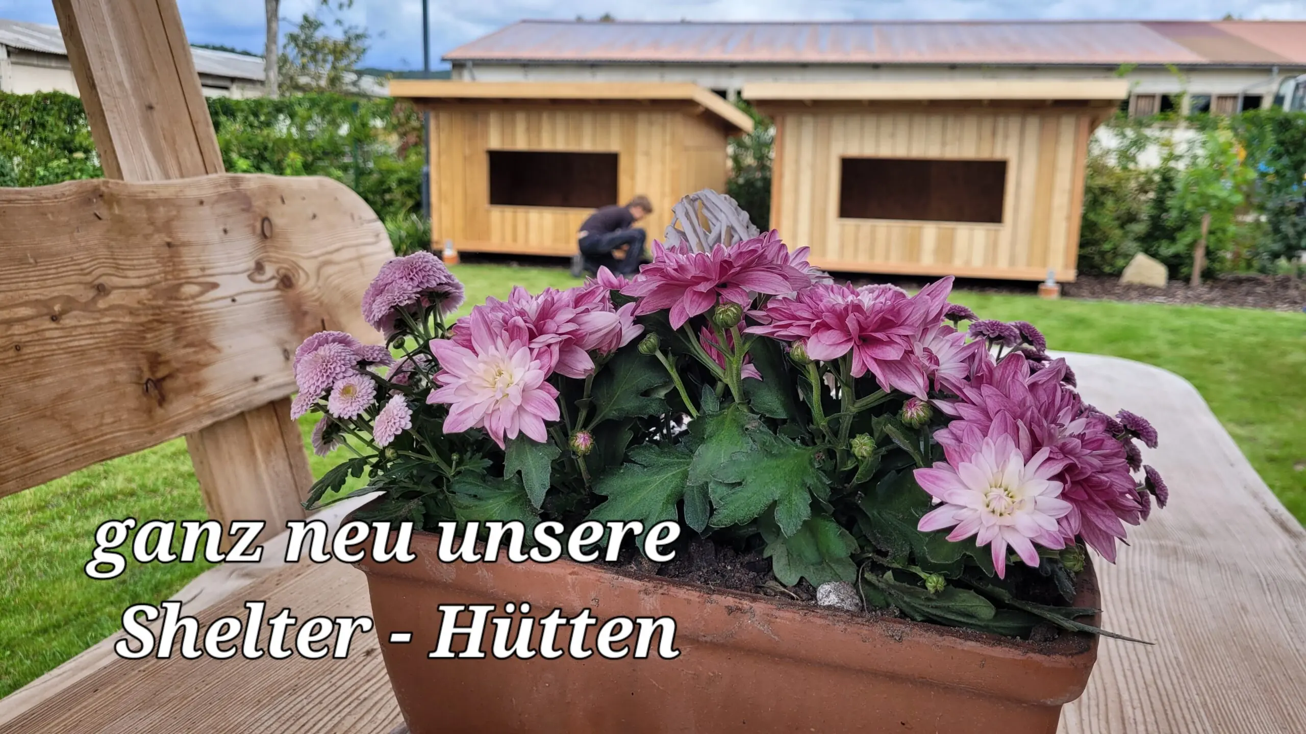 Shelterhütten